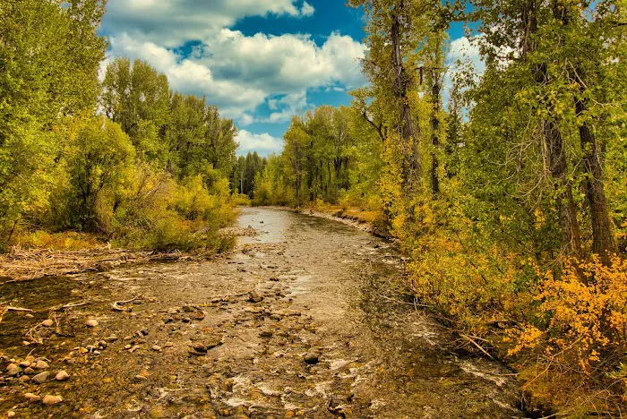 Wood River Campground Picture 7