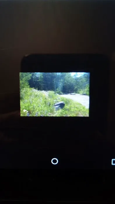 Easley Campground Picture 1