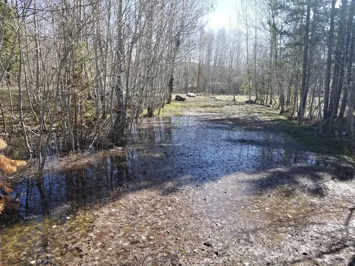 Easley Campground Picture 9