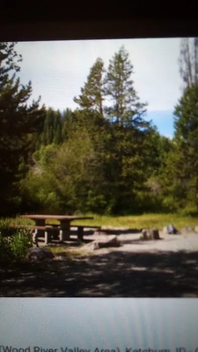 Easley Campground Picture 2