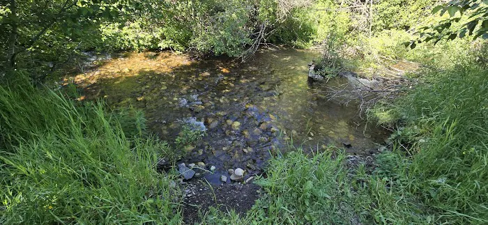 Corral Creek Canyon Camping Picture 6