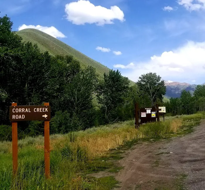 Corral Creek Canyon Camping Picture 3