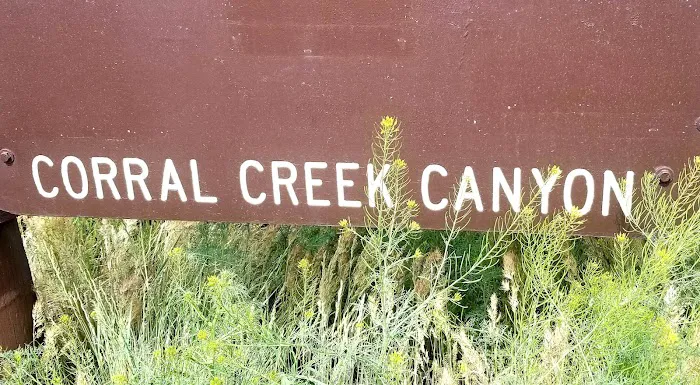 Corral Creek Canyon Camping Picture 5