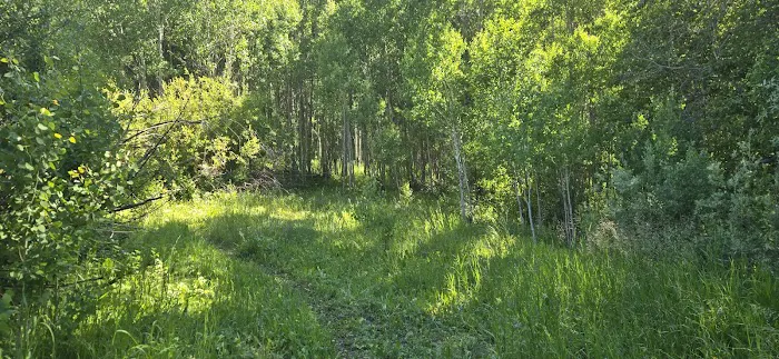 Corral Creek Canyon Camping Picture 7
