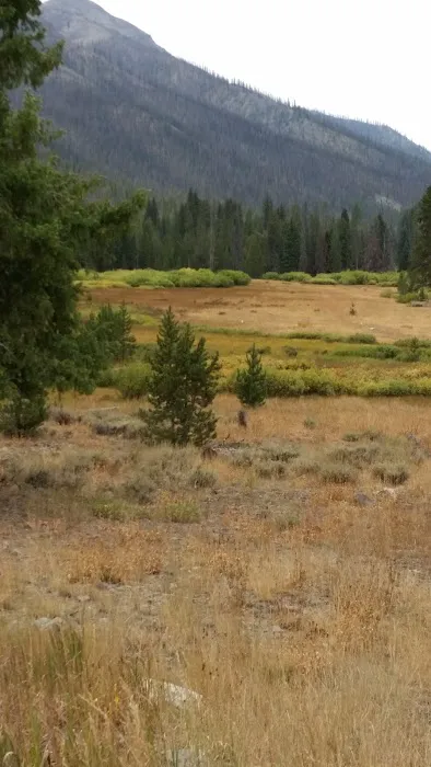 East Fork Baker Creek Campground Picture 3