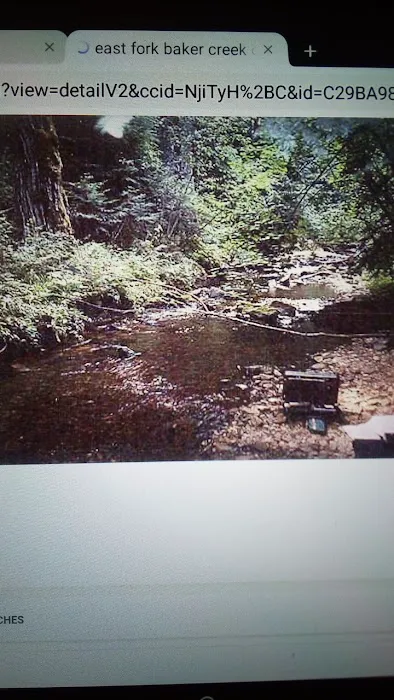 East Fork Baker Creek Campground Picture 2