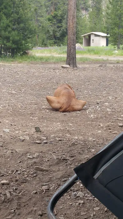 East Fork Baker Creek Campground Picture 6