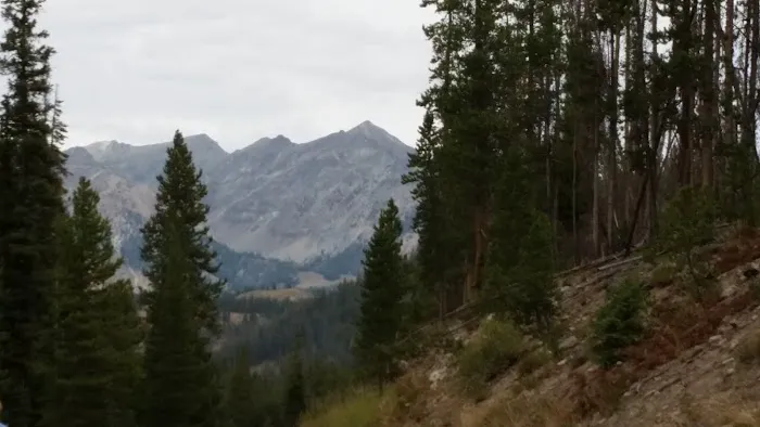 East Fork Baker Creek Campground Picture 4