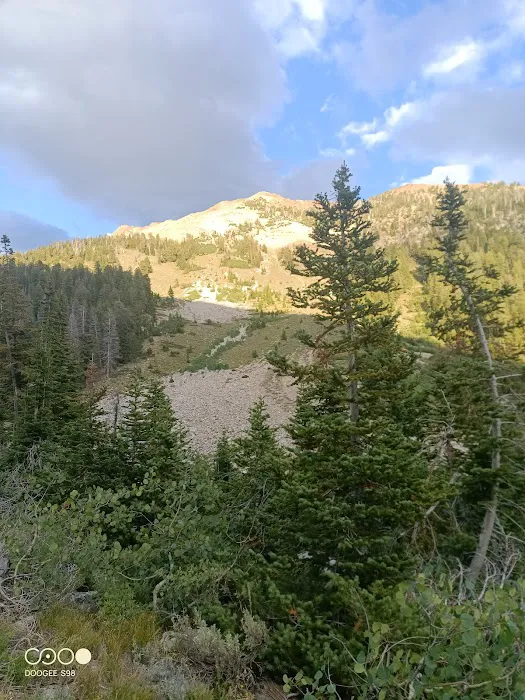 Federal Gulch Campground Picture 6