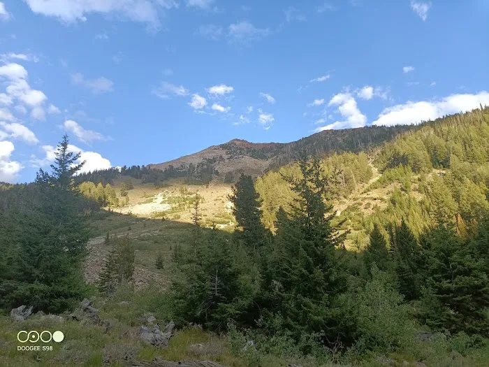 Federal Gulch Campground Picture 7