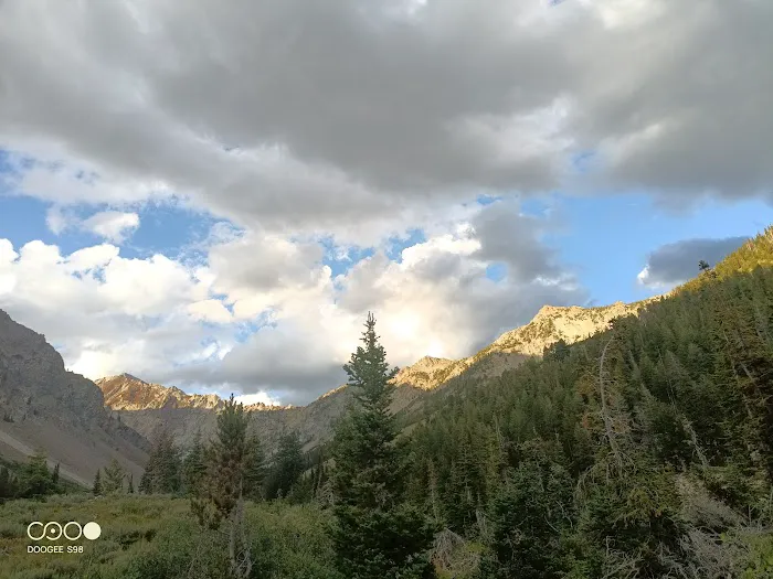 Federal Gulch Campground Picture 5
