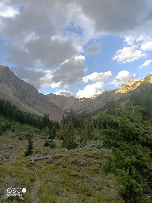 Federal Gulch Campground Picture 1