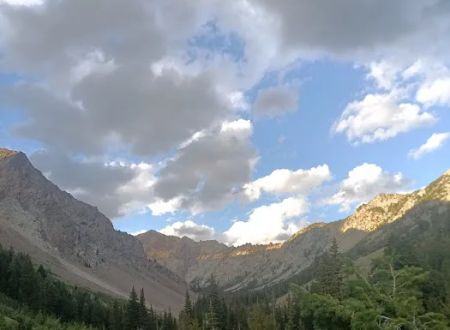 Federal Gulch Campground