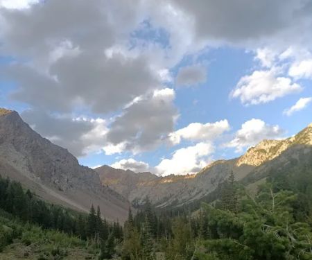 Federal Gulch Campground