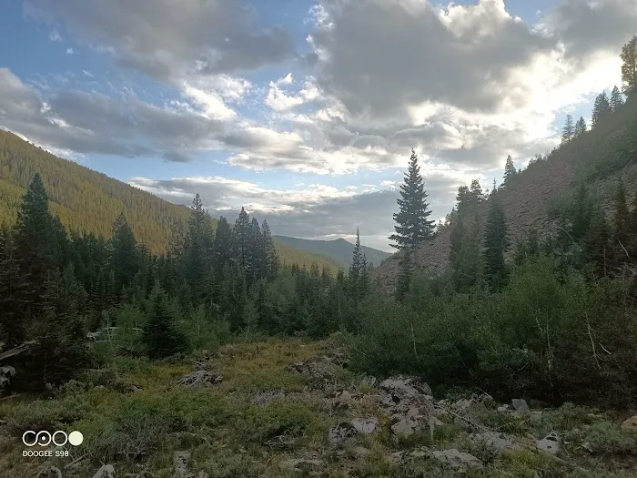 Federal Gulch Campground Picture 8