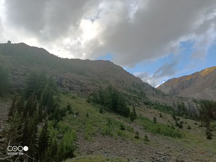 Federal Gulch Campground Picture 10
