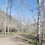 Sawmill Campground