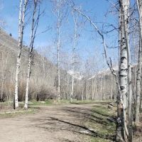 Sawmill Campground ico