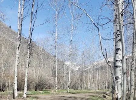Sawmill Campground