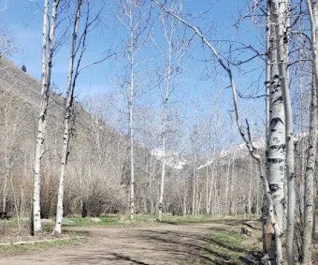 Sawmill Campground