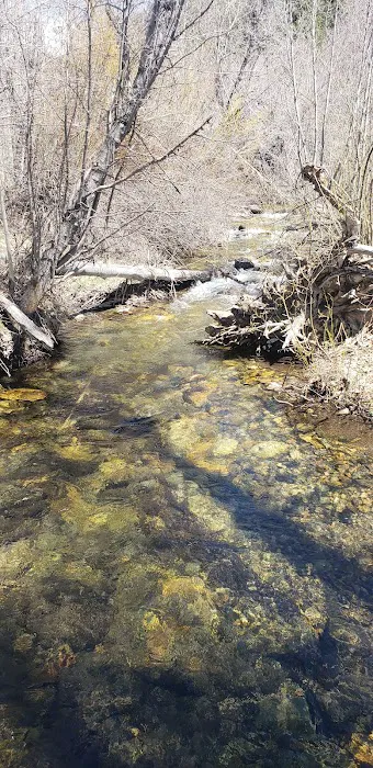Sawmill Campground Picture 5