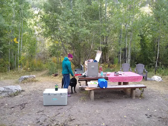 Sawmill Campground Picture 9