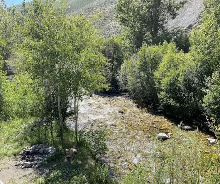 Hyndman Campground