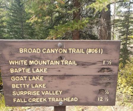 Broad Canyon Campground & Trailhead