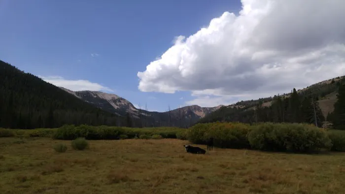 Broad Canyon Campground & Trailhead Picture 2