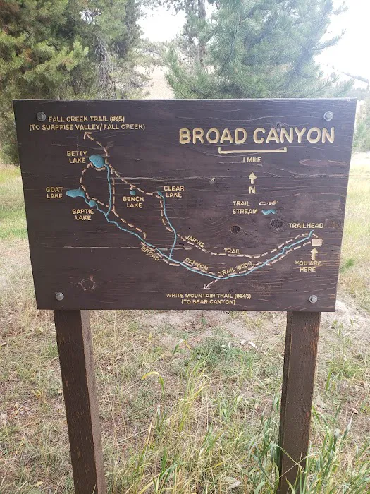Broad Canyon Campground & Trailhead Picture 3