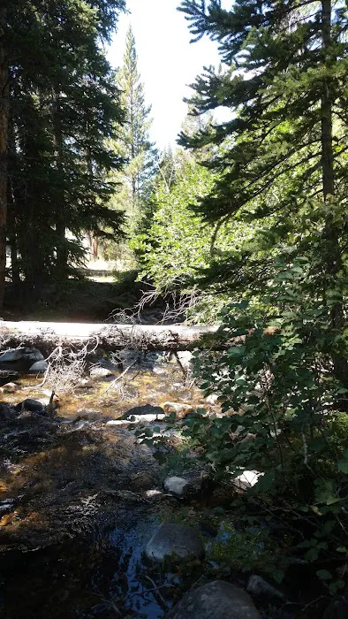 Lake Creek Trailhead & Campground Picture 4
