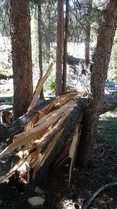 Lake Creek Trailhead & Campground Picture 2