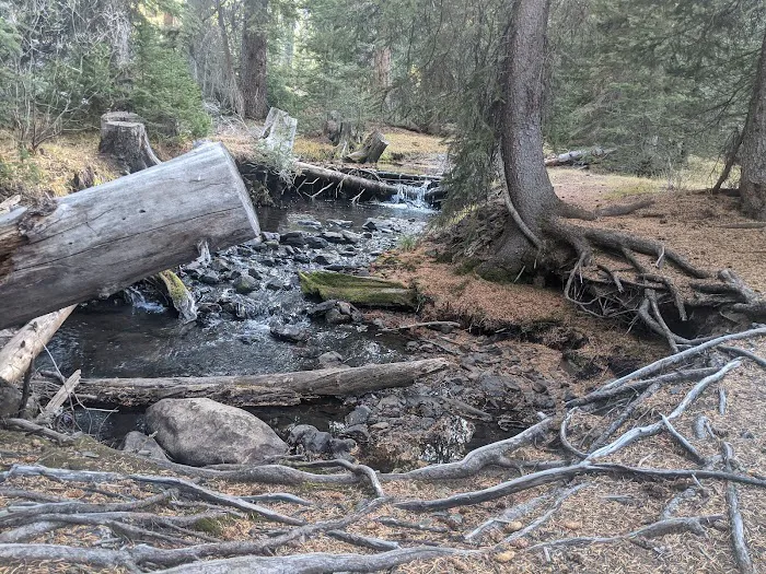 Star Hope Campground Picture 4