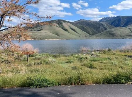 Joe T. Fallini Recreation Site