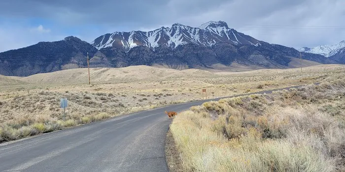 Joe T. Fallini Recreation Site Picture 2