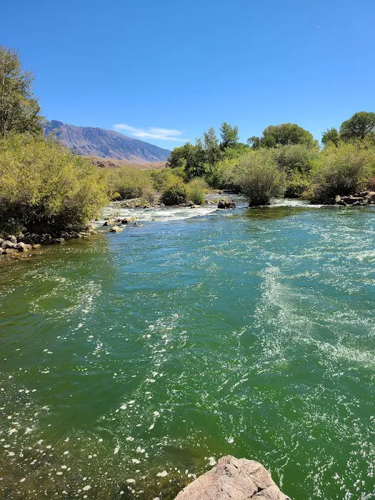 Joe T. Fallini Recreation Site Picture 4