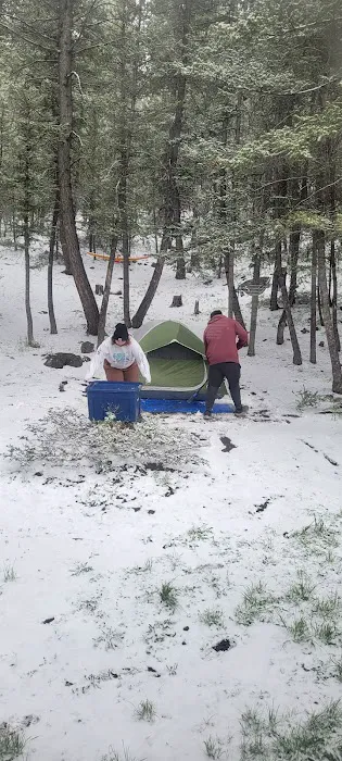 Loristica Group Campground Picture 1