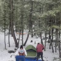Loristica Group Campground ico