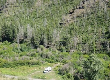Wolftone Campground
