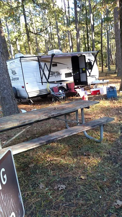 Bucktail Camp, Kisatche National Forest Picture 2