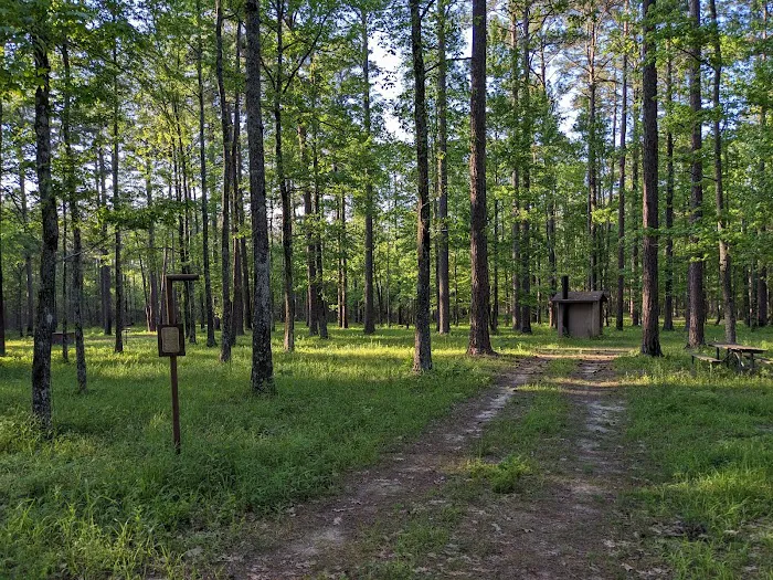 TurkeyTrot Campground Picture 10