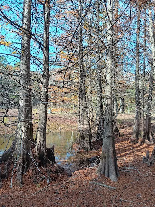 Moccasin Track Camping Area, Water & Electric Sites, plus Cottages Picture 6