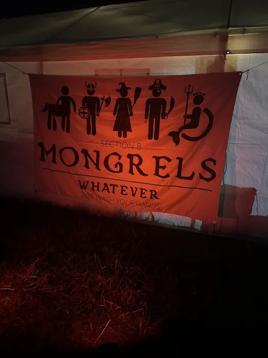 Section 8 Mongrels Picture 1