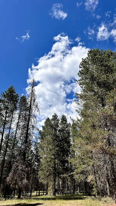 Mill Creek Campground Picture 6