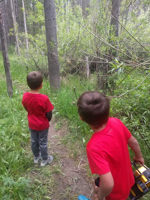 Buttermilk Campground Picture 4