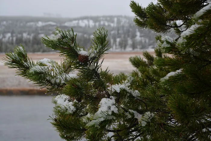 Madison Campground Picture 9