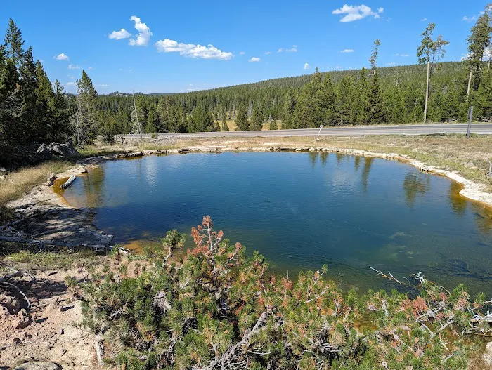 Madison Campground Picture 6