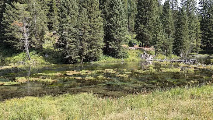 Big Springs Group Area - Island Park Picture 5