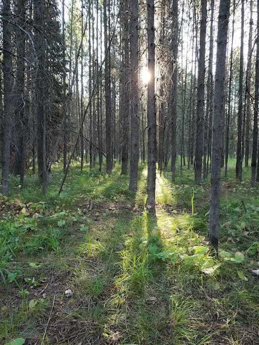 Buffalo Campground Picture 3