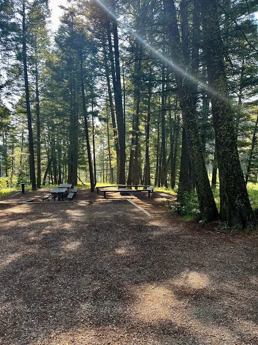 Stoddard Creek Campground Picture 8